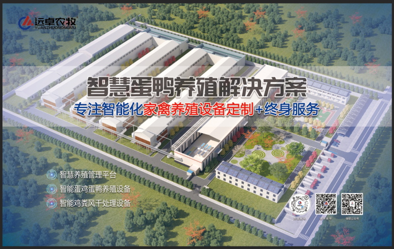 d396e4c245de40759f4f0587068afff3_11_看圖王.jpg